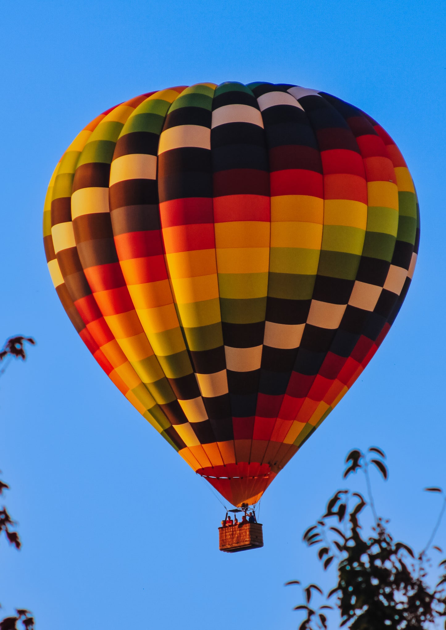 Hot air ballon bookmark