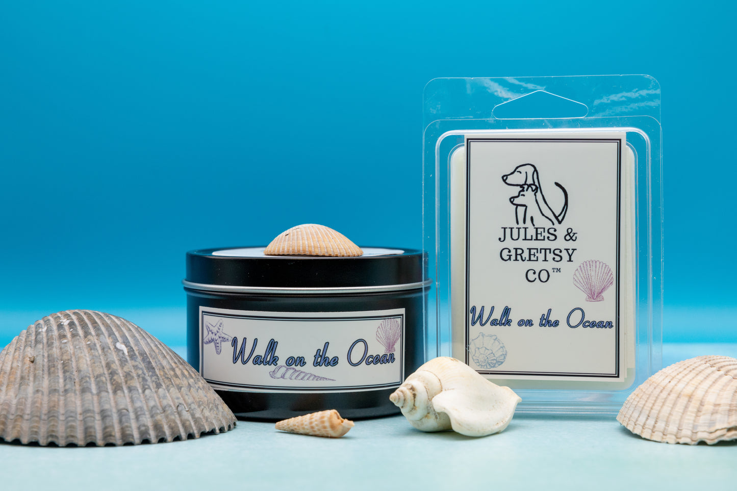 Walk on the Ocean wax melt